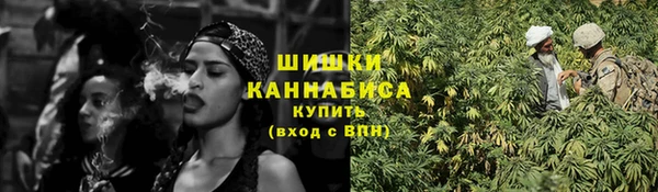 гидропоника Белокуриха