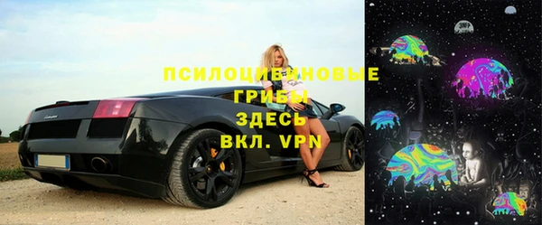 гашиш Богданович