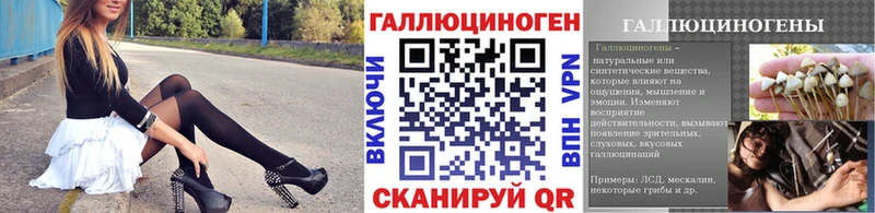 цены   Белая Калитва  Галлюциногенные грибы Psilocybine cubensis 